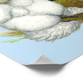 シルキートリオ ポスター (角)