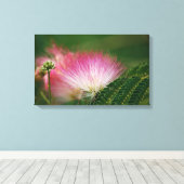 シルキーピンクミモサ キャンバスプリント (インサイチュ (ウッドフロア))