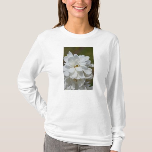 シルキーマグノリア長袖Tシャツ Tシャツ (正面)