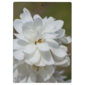 シルキーマグノリア クリップボード (裏面)