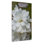 シルキーマグノリア クリップボード (右)