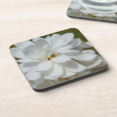 シルキーマグノリア コースター (左側)