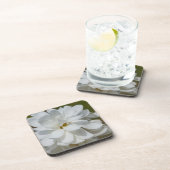 シルキーマグノリア コースター (右側)