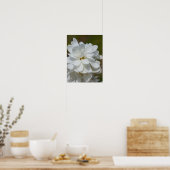 シルキーマグノリア ポスター (キッチン)