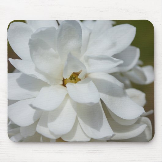 シルキーマグノリア マウスパッド (正面)