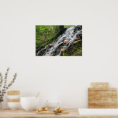 シルキールーツフォレストカスケードポスター ポスター (キッチン)