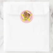 シルキーレッドシックスター ラウンドシール (バッグ)