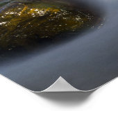 シルキー水4ポスター ポスター (角)