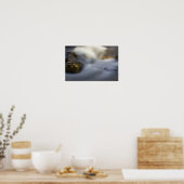 シルキー水4ポスター ポスター (キッチン)