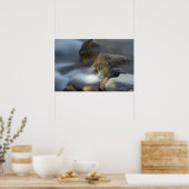 シルキー水8ポスター ポスター (キッチン)