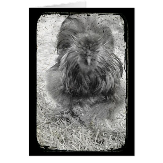 シルキー (正面)