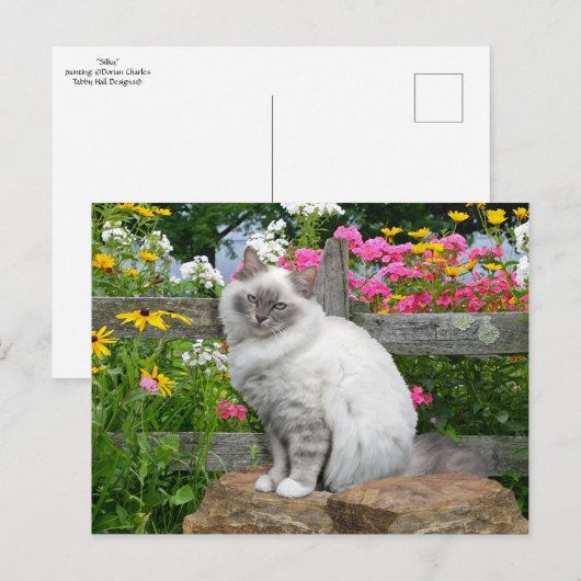 「シルキー」ポストカード ポストカード (正面/裏面)