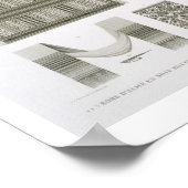 シルクとエジプトのコスチュームの例('Desc ポスター (角)