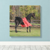 シルクに黒いアラビアのタリオン キャンバスプリント (インサイチュ (ウッドフロア))