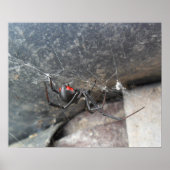 シルクストランド ポスター (正面)