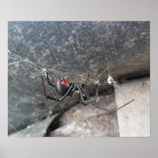 シルクストランド ポスター (正面)