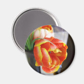 シルクチューリップ マグネット (正面/裏面)