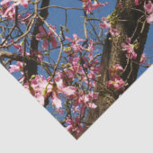 シルクフロスツリーブロッサムティッシュペーパー 薄葉紙 (詳細)