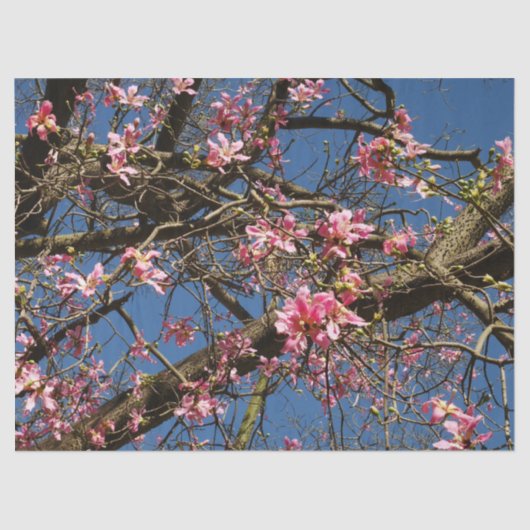 シルクフロスツリーブロッサムティッシュペーパー 薄葉紙 (正面)