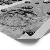 シルクレビル ポスター (角)