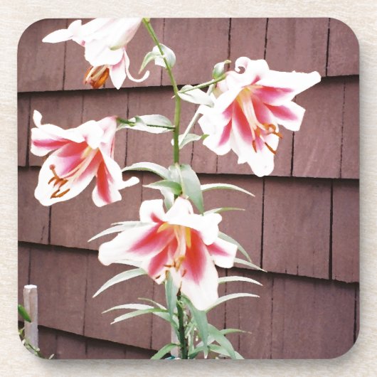 シルクロードリリー コースター (正面)