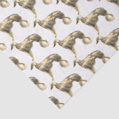 シルケンウィンドハウンドティッシュペーパー 薄葉紙 (詳細)