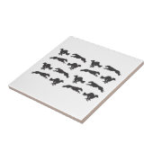 シルケンウィンドーランニングンズの タイル (側面)