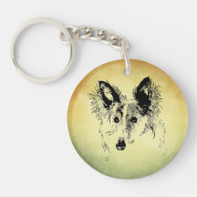 シルケン・ウィンドハウンドの輪郭を描いた