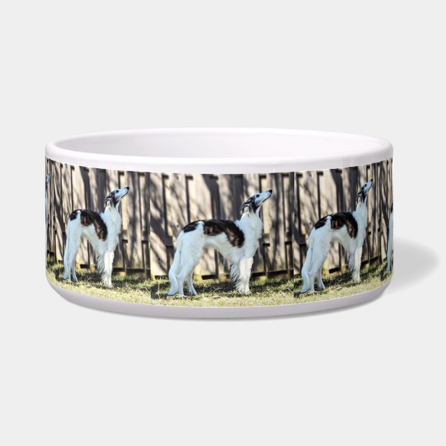 シルケン・ウィンドハウンド ボウル (正面)