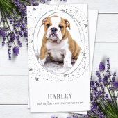 シルバエレガントスターカスタムズ写真QRソーシャルメディア 名刺