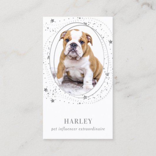 シルバエレガントスターカスタムズ写真QRソーシャルメディア 名刺 (正面)