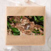 シルバティクス ラベル (インサイチュ)