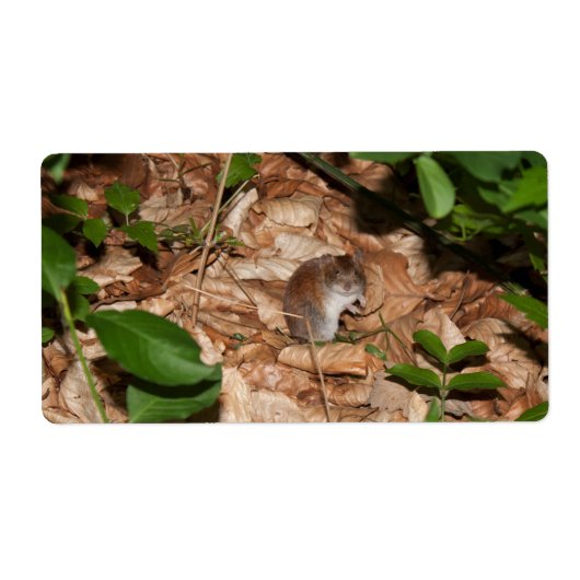 シルバティクス ラベル (正面)