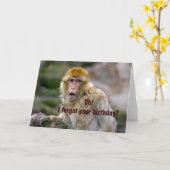 シルバニアヌス カード (黄色い花)