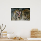 シルバニアヌス ポスター (キッチン)