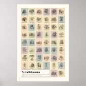 シルバブリタニカ ポスター (正面)