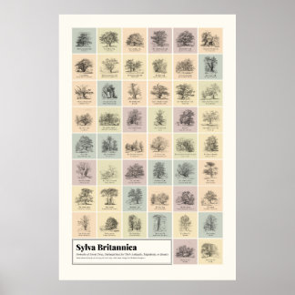 シルバブリタニカ ポスター