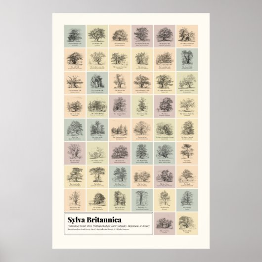 シルバブリタニカ ポスター (正面)