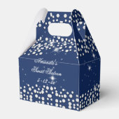 シルバーとブルーの輝き、Sweet sixteen、カスタム フェイバーボックス (正面サイド)