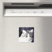 シルバーとホワイトの子猫マグネット マグネット (インサイチュ (食洗機))