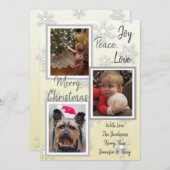 シルバーと金ゴールドの雪片ファミリー写真クリスマス 招待状 (正面/裏面)