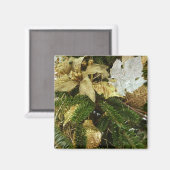 シルバーと金ゴールドクリスマスツリーIIホリデイ マグネット (正面/裏面)