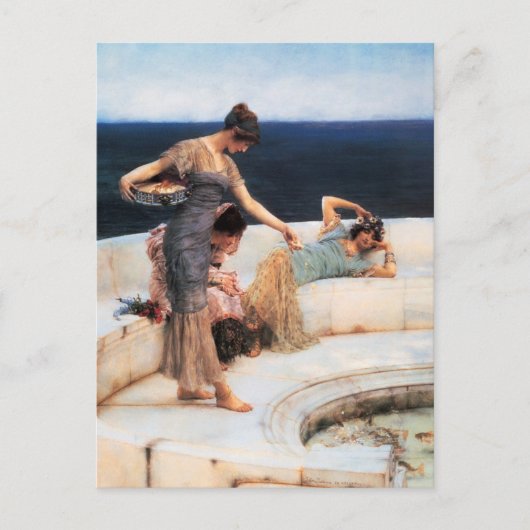 シルバーのお気に入り ポストカード (正面)