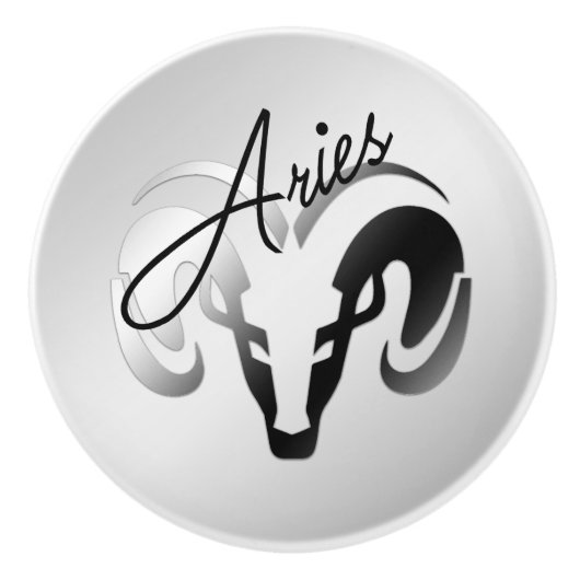 シルバーアイリーズザラム〔占星術の〕十二宮図 セラミックノブ (正面)