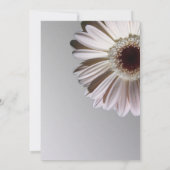 シルバーアニバーサバーズデイジー 招待状 (裏面)