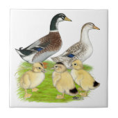 シルバーアプライヤードファミリー タイル (正面)