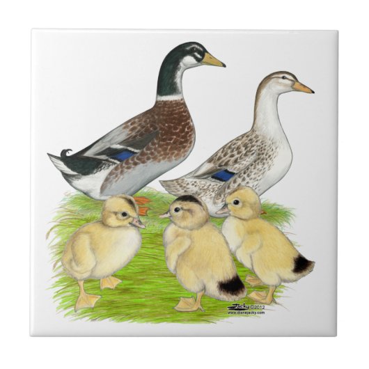 シルバーアプライヤードファミリー タイル (正面)