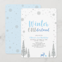 シルバーウィンターオネダーランドボーイ1歳の誕生日パーティー