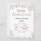 シルバーウィンターオネダーランド誕生日招待状 招待状 (正面)