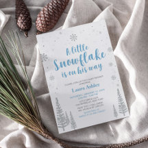 シルバーウィンターワンダーランド，男の子の赤ちゃんシャワー/散水